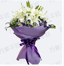 广州植物花卉租摆 零售 鲜花零售价格 广州植物花卉租摆 零售 鲜花零售型号规格
